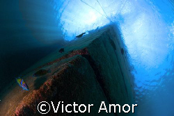 Towards the sky by Victor Amor 